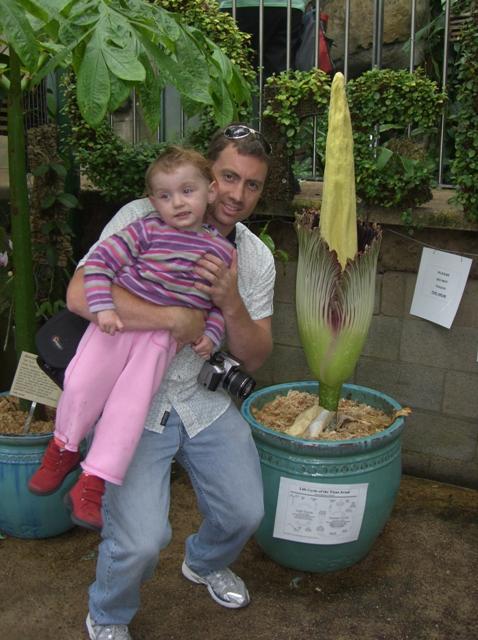 plant blooming